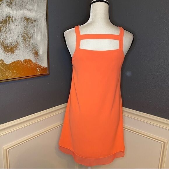 Parker Shift Dress - Picture 5 of 9